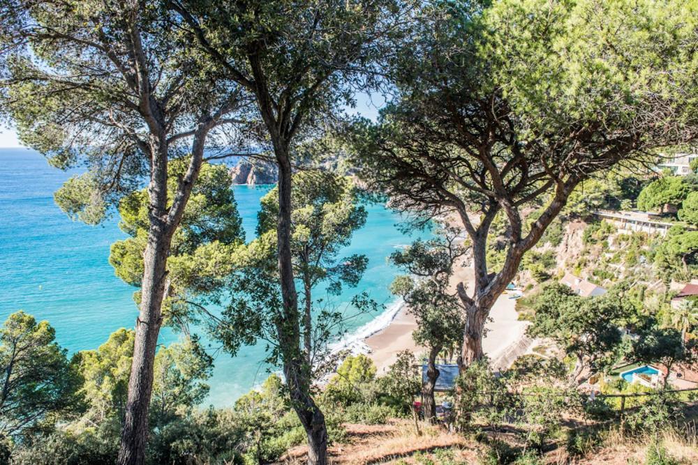 Camping Sunissim Cala Llevado 4 By Locatour Hotel Tossa de Mar Luaran gambar